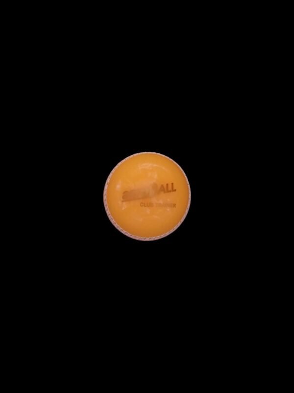 Aero Trainer Ball - Back