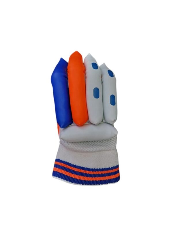 India B-101 Batting Gloves - Back