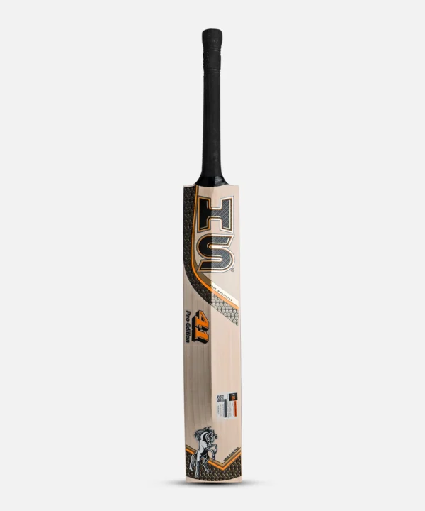 Pilano Sports PRO Edition HS 41 English Willow Bat - Back