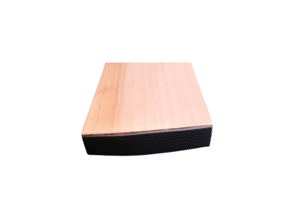 Pilano Sports PRO Edition HS 41 English Willow Bat - Bottom