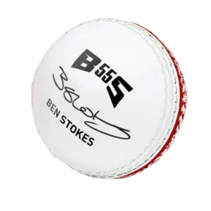 GM BSS5 Skill Cricket Ball - Back