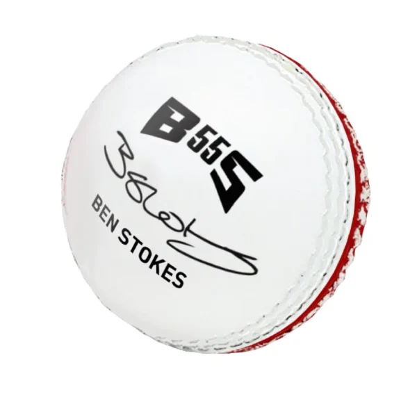 GM BSS5 Skill Cricket Ball - Back