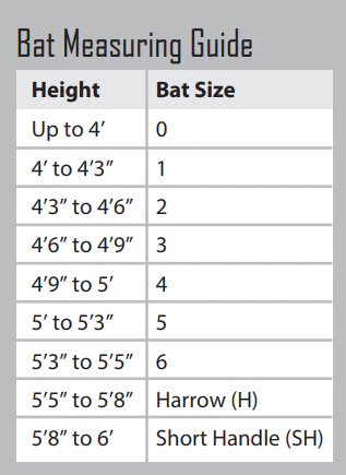Ram Cricket Crazy Cricket Set - Information 2