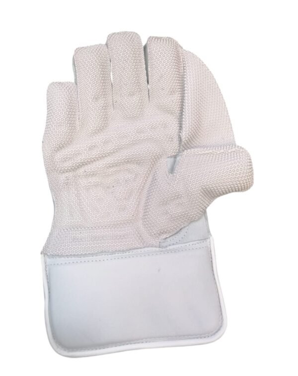 A7 Sports Wicketkeeping Gloves - Back