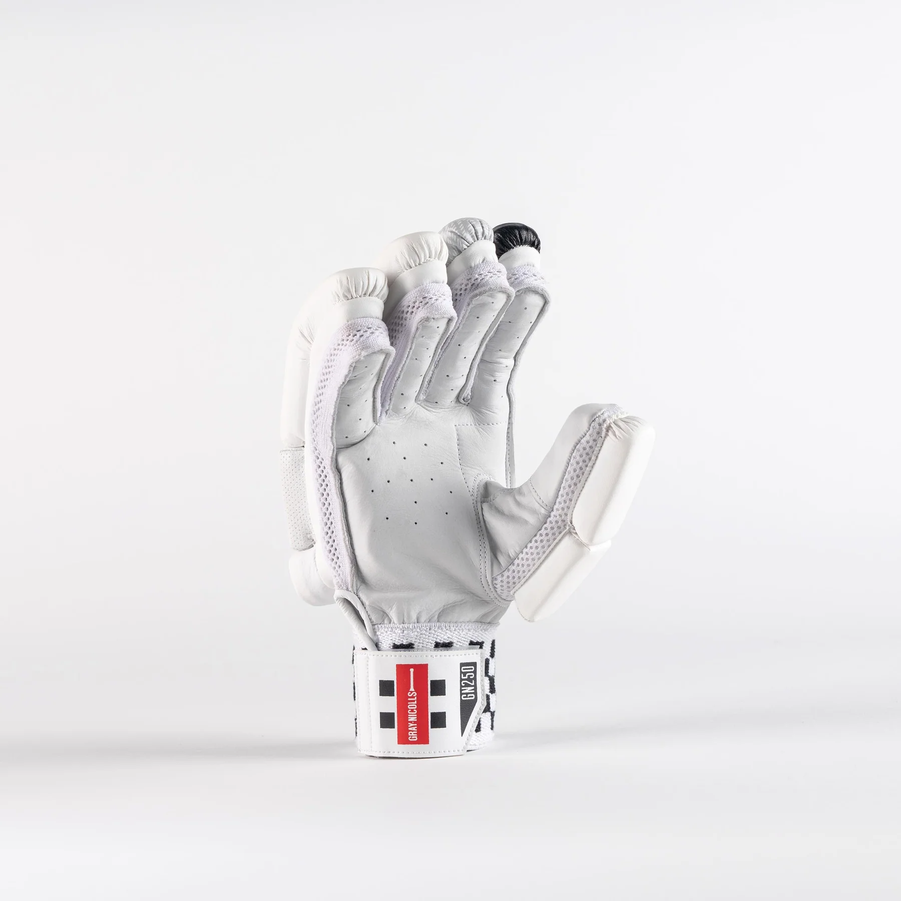 Gray-Nicolls GN 250 Batting Gloves - Back