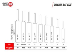 Sareen Sports Industries Master 1000 English Willow Cricket Bat - Info