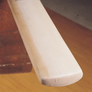 Gray-Nicolls Protectoe - Overview