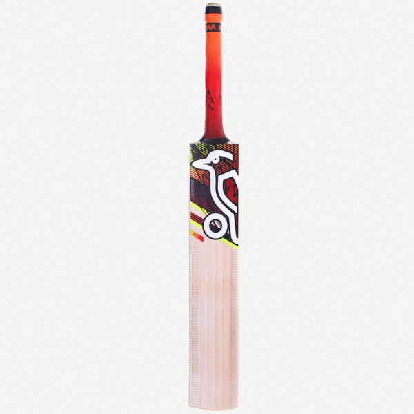 Kookaburra Beast 9.1 Bat - Back