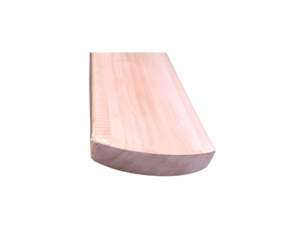 Gray-Nicolls Classic Academy Cricket Bat - Bottom