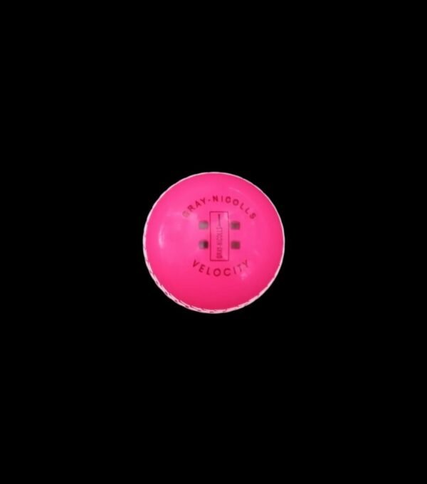 Gray-Nicolls Velocity Cricket Ball - Pink - Front